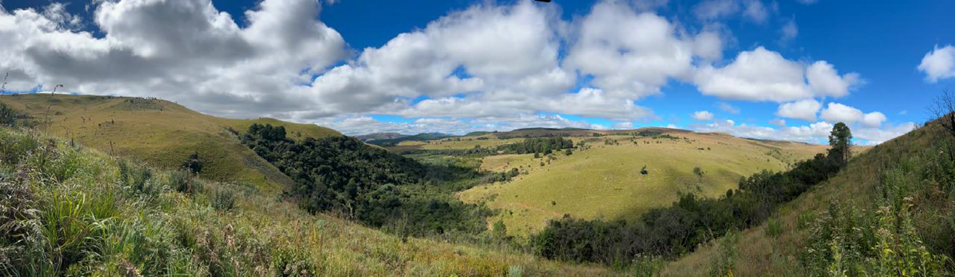 Wide panorama of the farm's hills, kloofs and grasslands