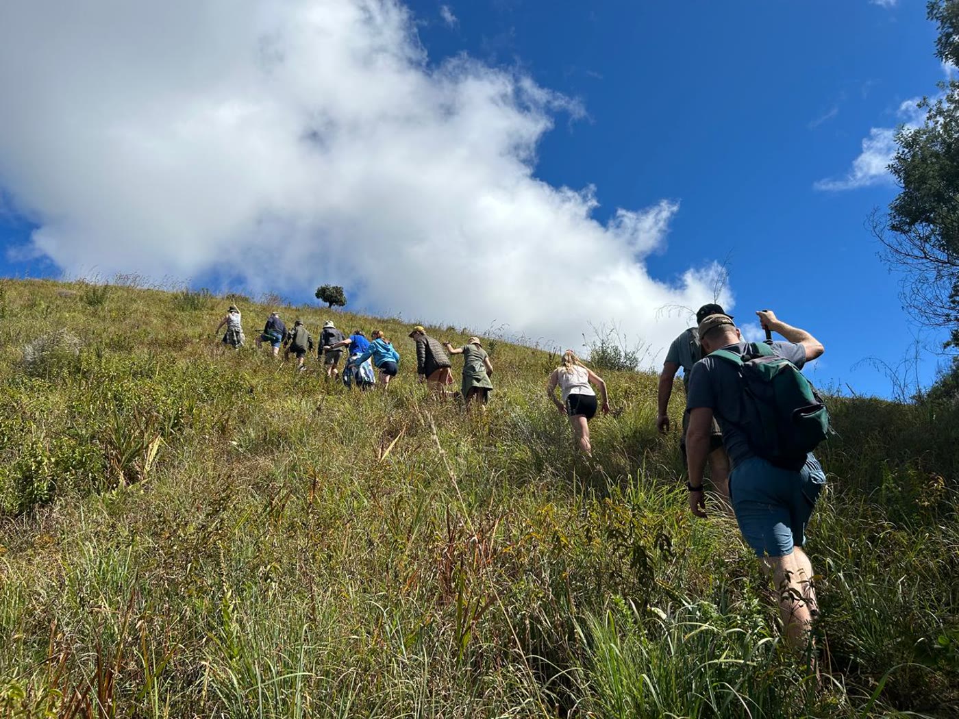 A group of hikers climbing a grassy hill under a blue sky